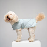 Dog coat "Noble tails" blue