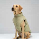 Puffer Dog Vest “PAWSome fashionista”