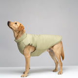 Puffer Dog Vest “PAWSome fashionista”