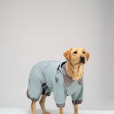 The Dog raincoat “Trendy Tails”