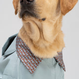 The Dog raincoat “Trendy Tails”