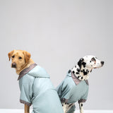 The Dog raincoat “Trendy Tails”