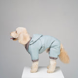 The Dog raincoat “Trendy Tails”