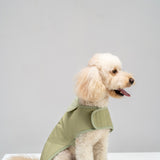 Dog coat "Noble tails" pistacho