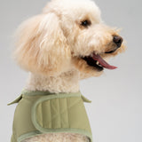 Dog coat "Noble tails" pistacho