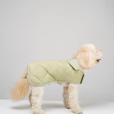 Dog coat "Noble tails" pistacho