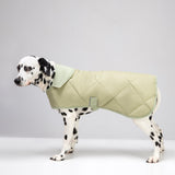 Dog coat "Noble tails" pistacho