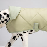 Dog coat "Noble tails" pistacho