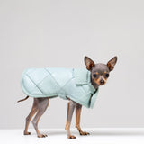 Dog coat "Noble tails" blue