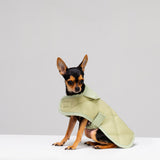 Dog coat "Noble tails" pistacho