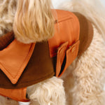 Dog Coat Blanket 