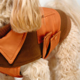 Dog Coat Blanket 