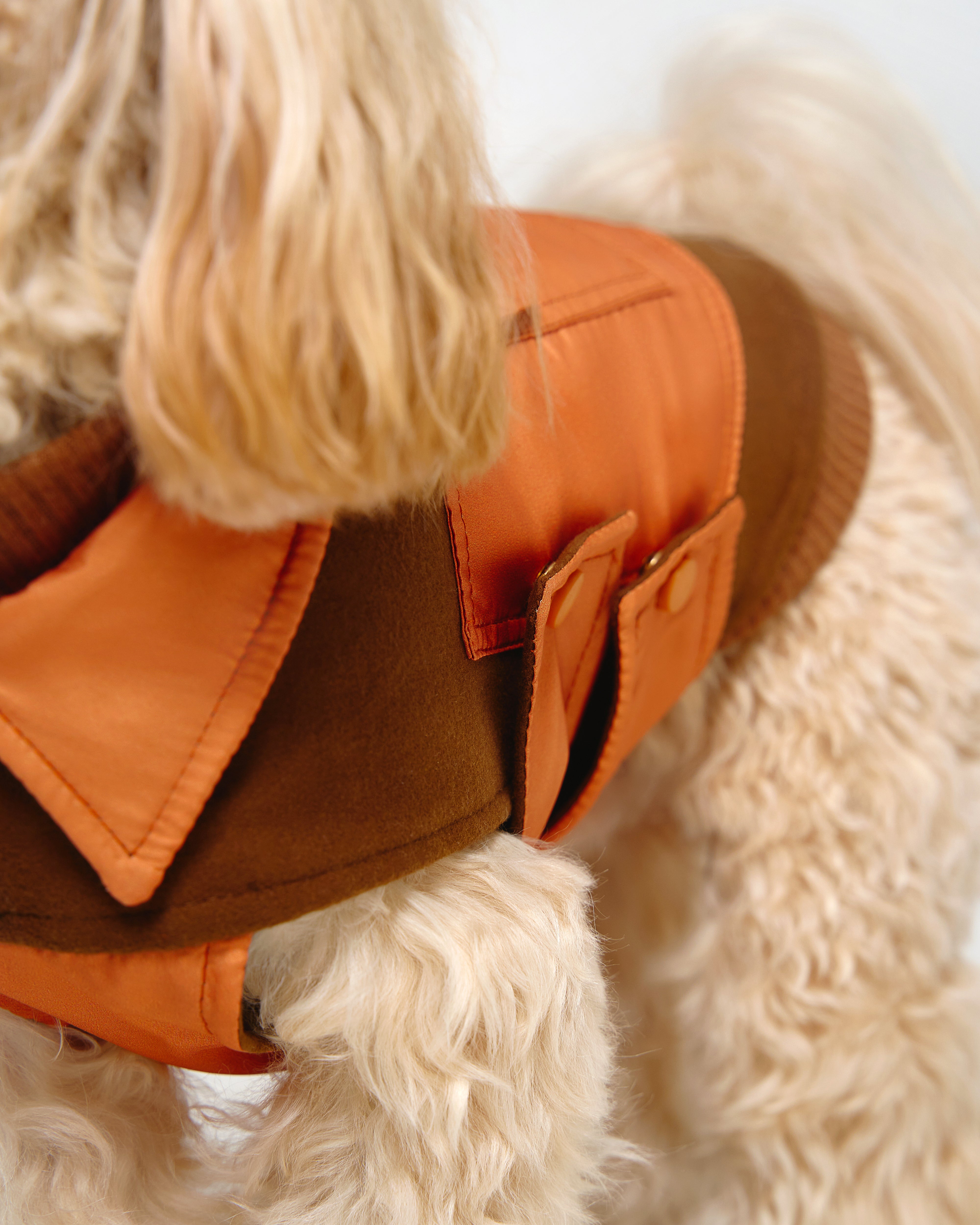 Dog Coat Blanket 