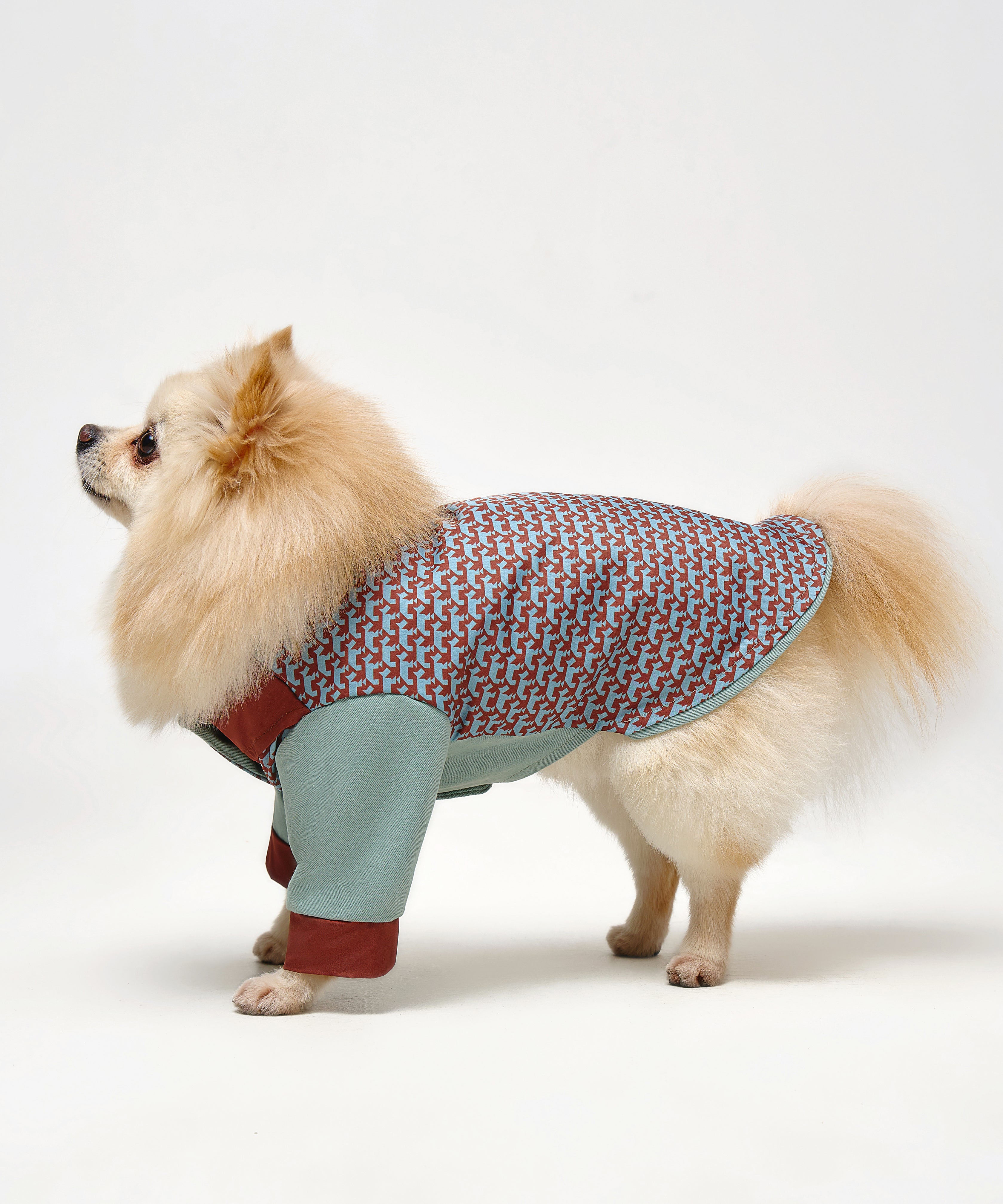 Comfort Jackets For Dogs