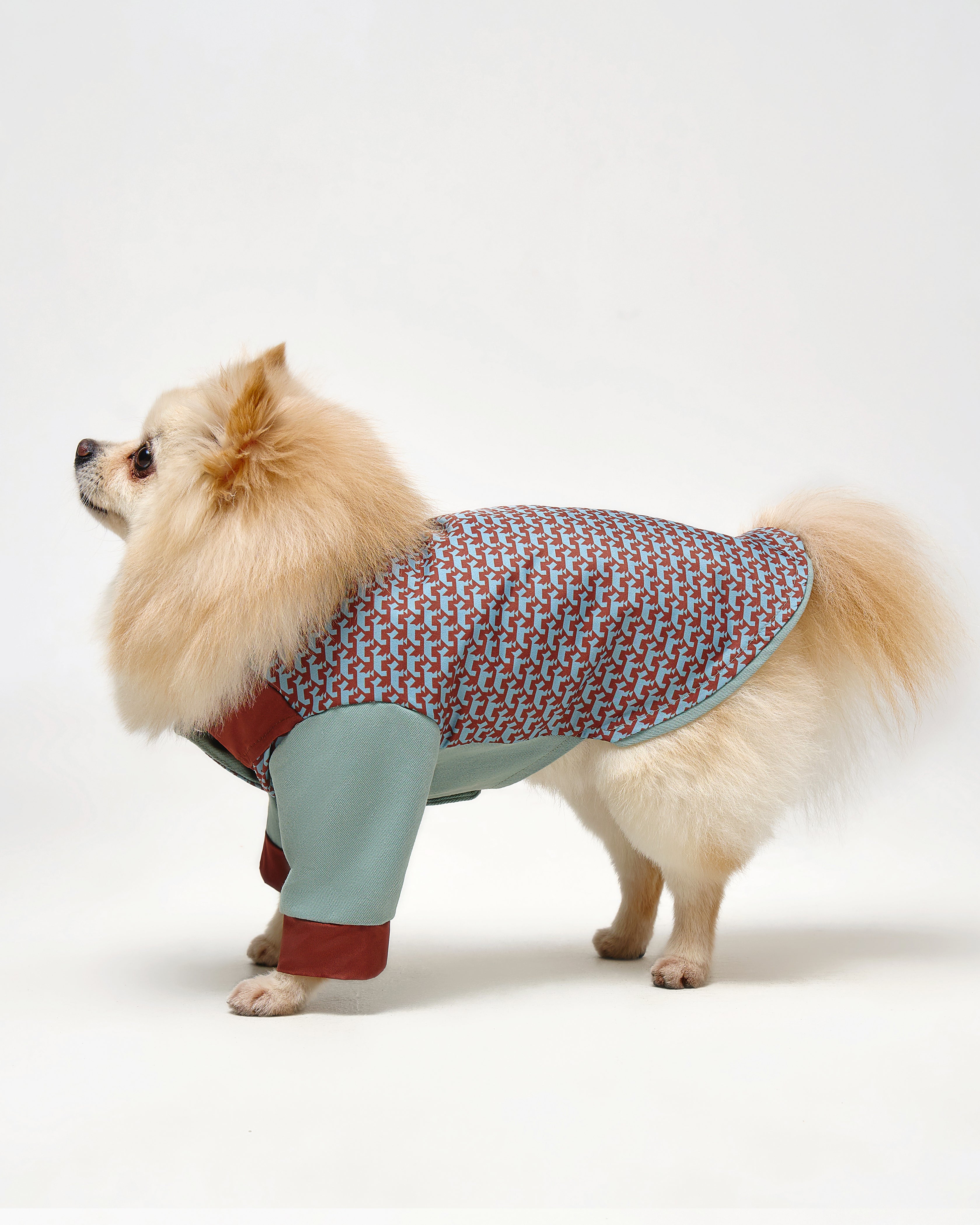 Comfort Jackets For Dogs