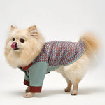 Comfort Jackets For Dogs 