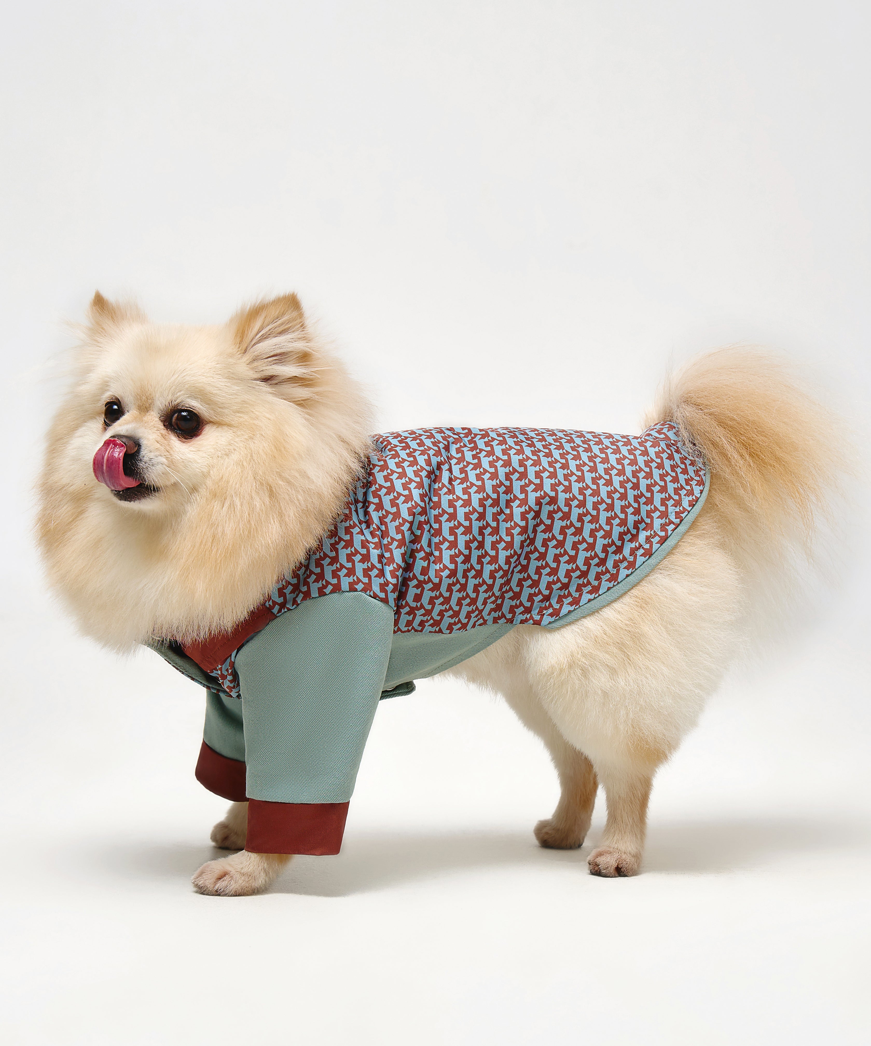 Comfort Jackets For Dogs 