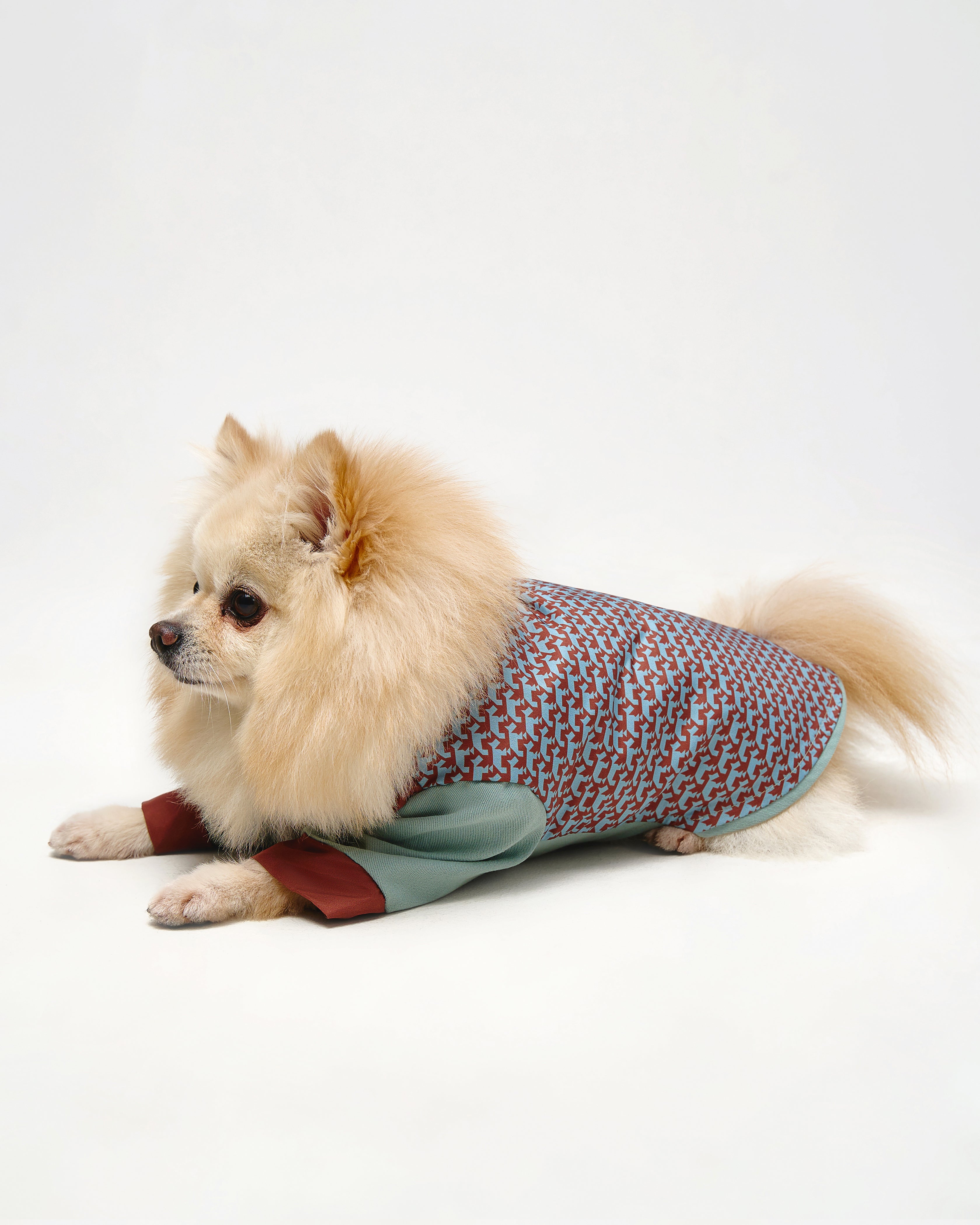 Comfort Jackets For Dogs