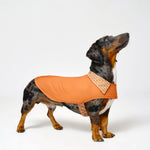 Reversible Dog Raincoat