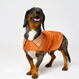 Reversible Dog Raincoat