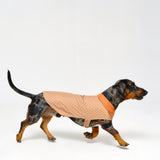 Reversible Dog Raincoat