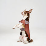 Reversible Dog Raincoat