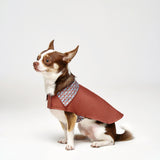 Reversible Dog Raincoat