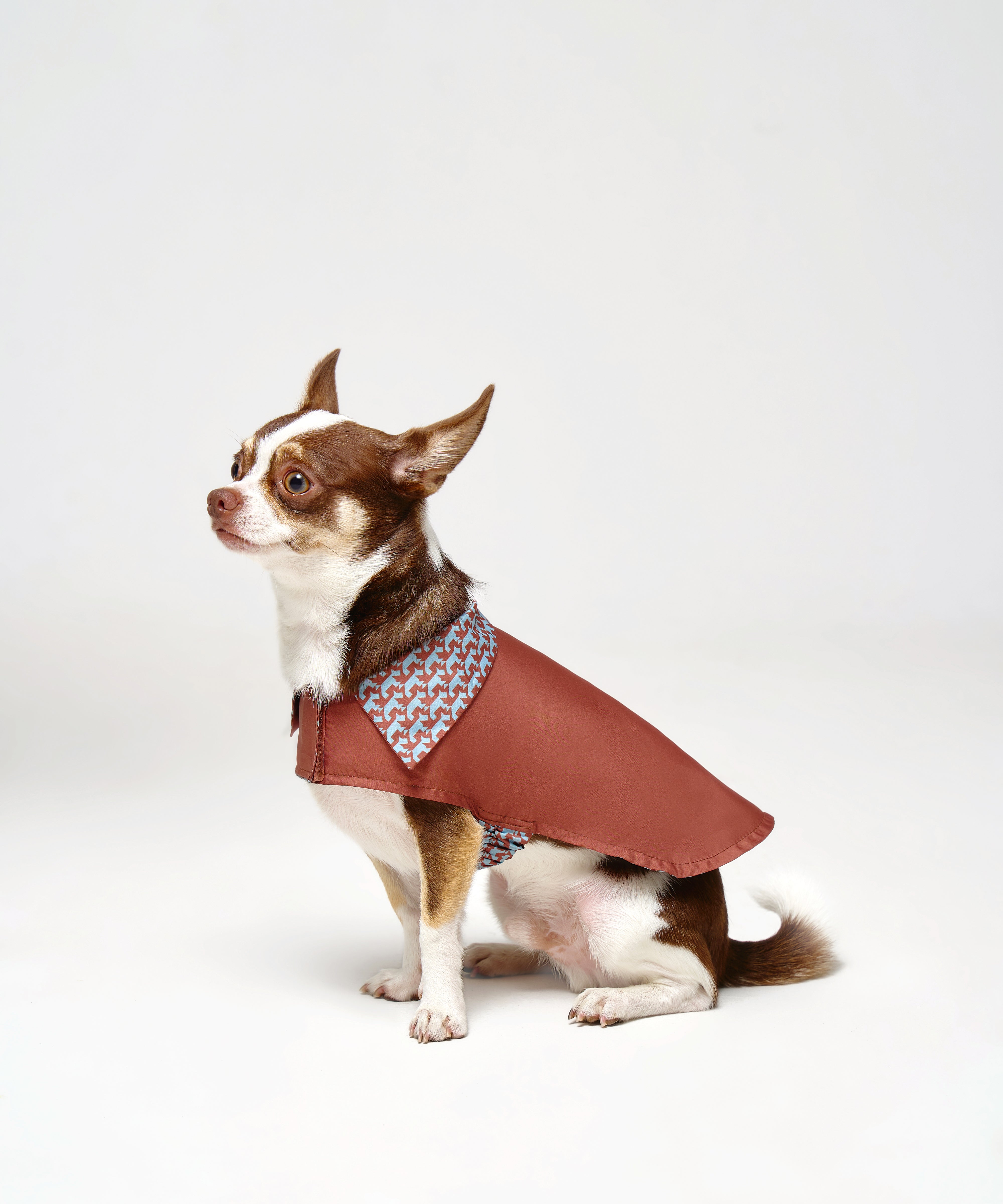 Reversible Dog Raincoat