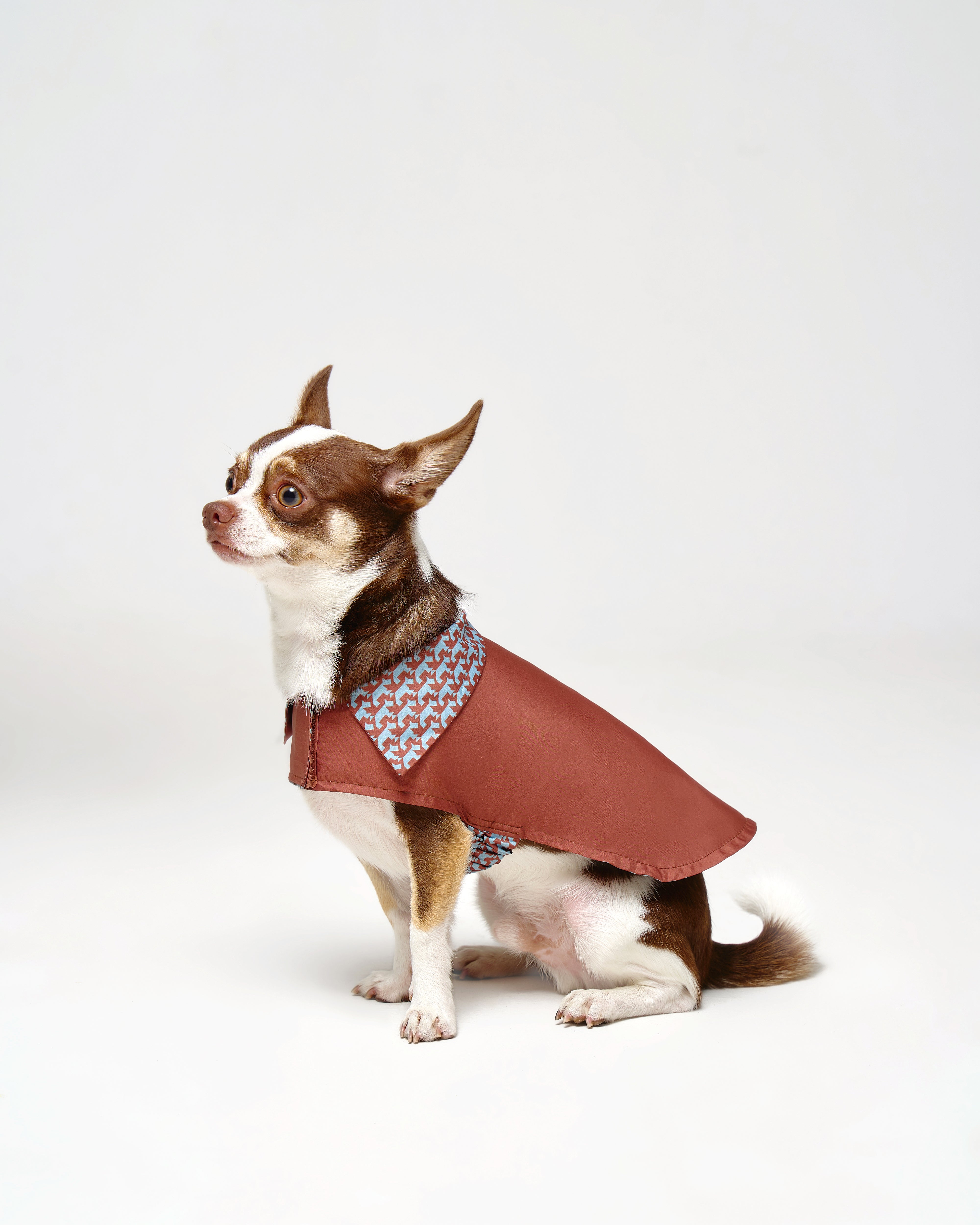 Reversible Dog Raincoat