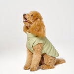 Puffer Dog Vest 