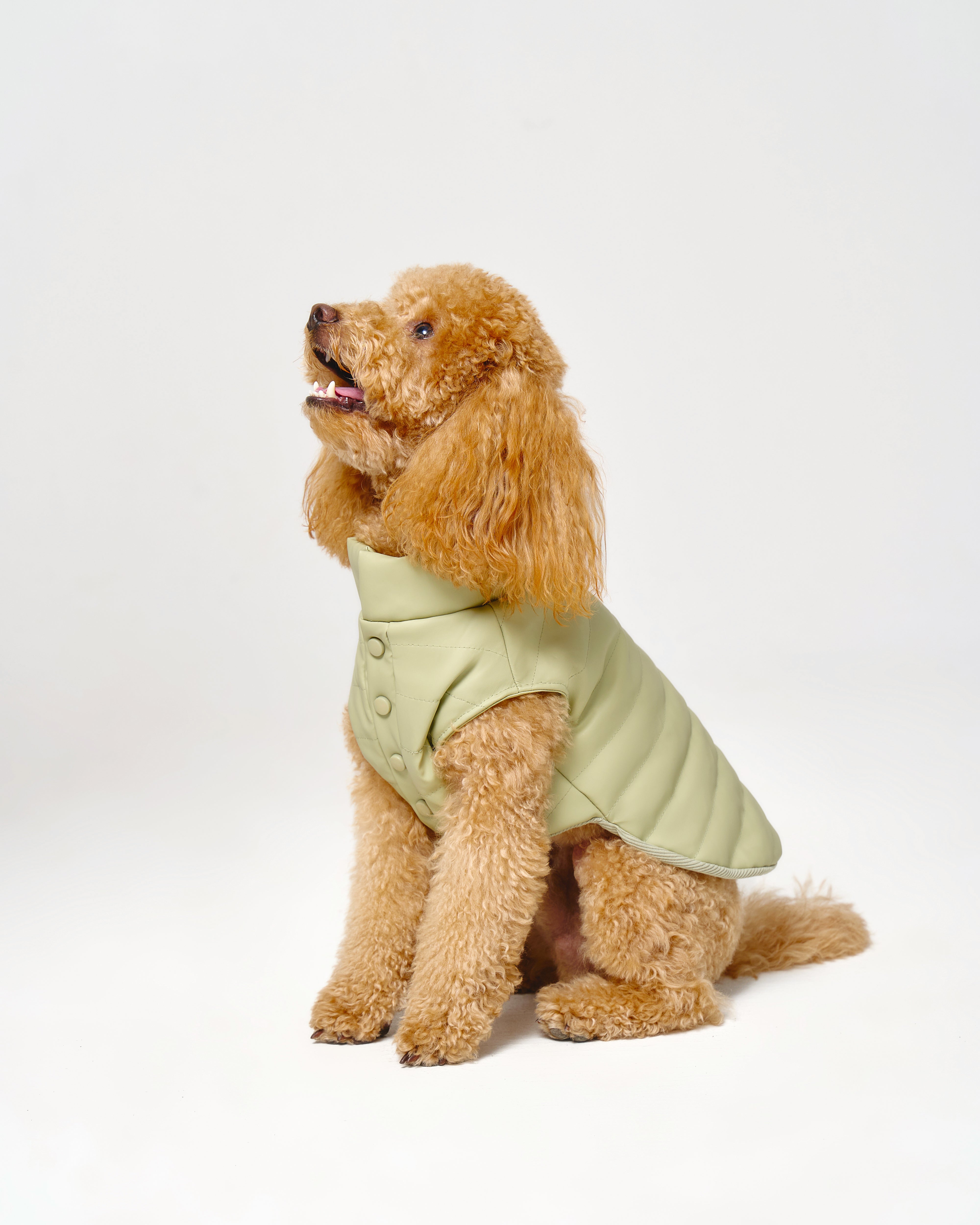 Puffer Dog Vest 