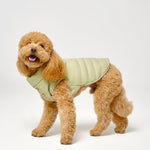 Puffer Dog Vest 