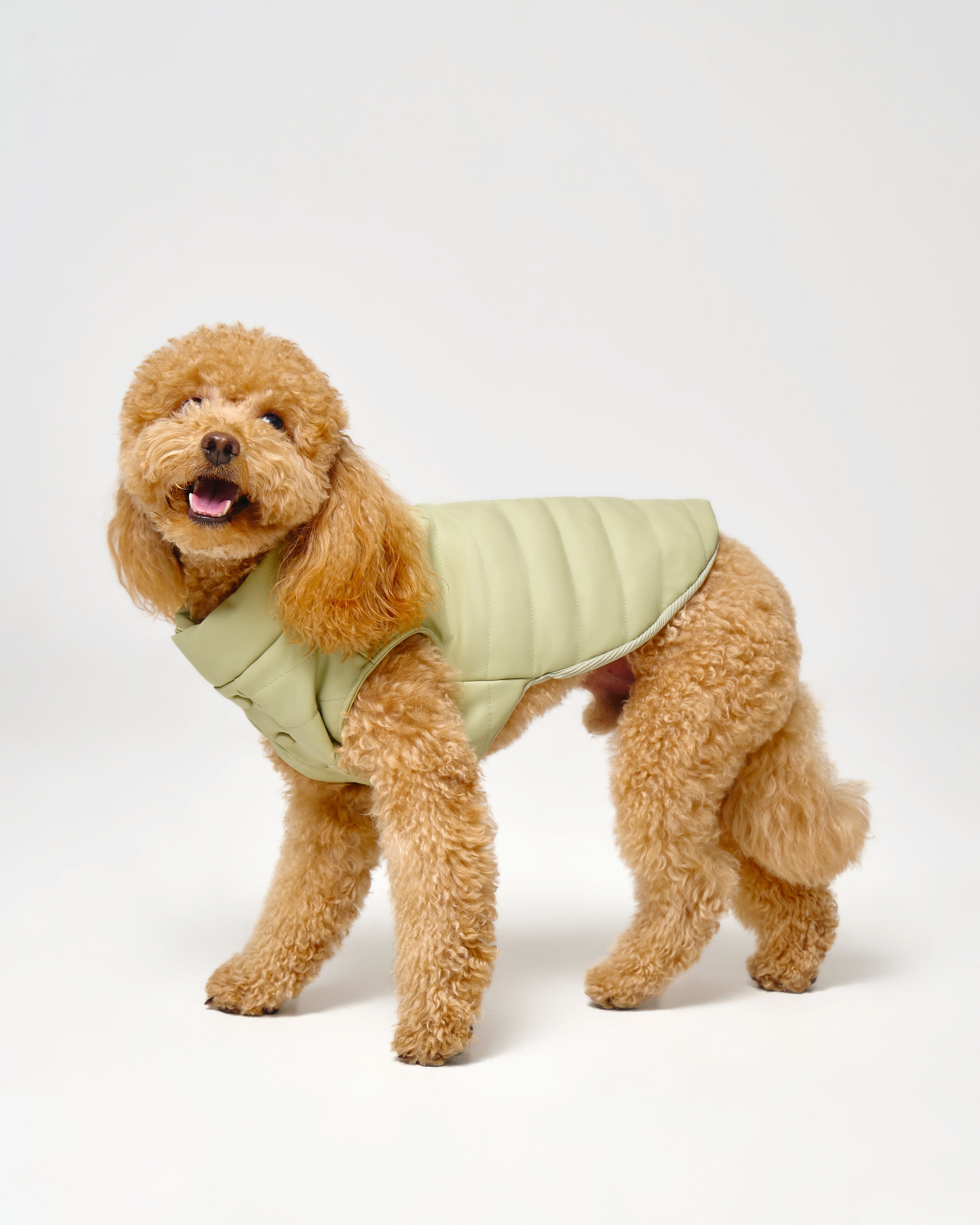 Puffer Dog Vest 