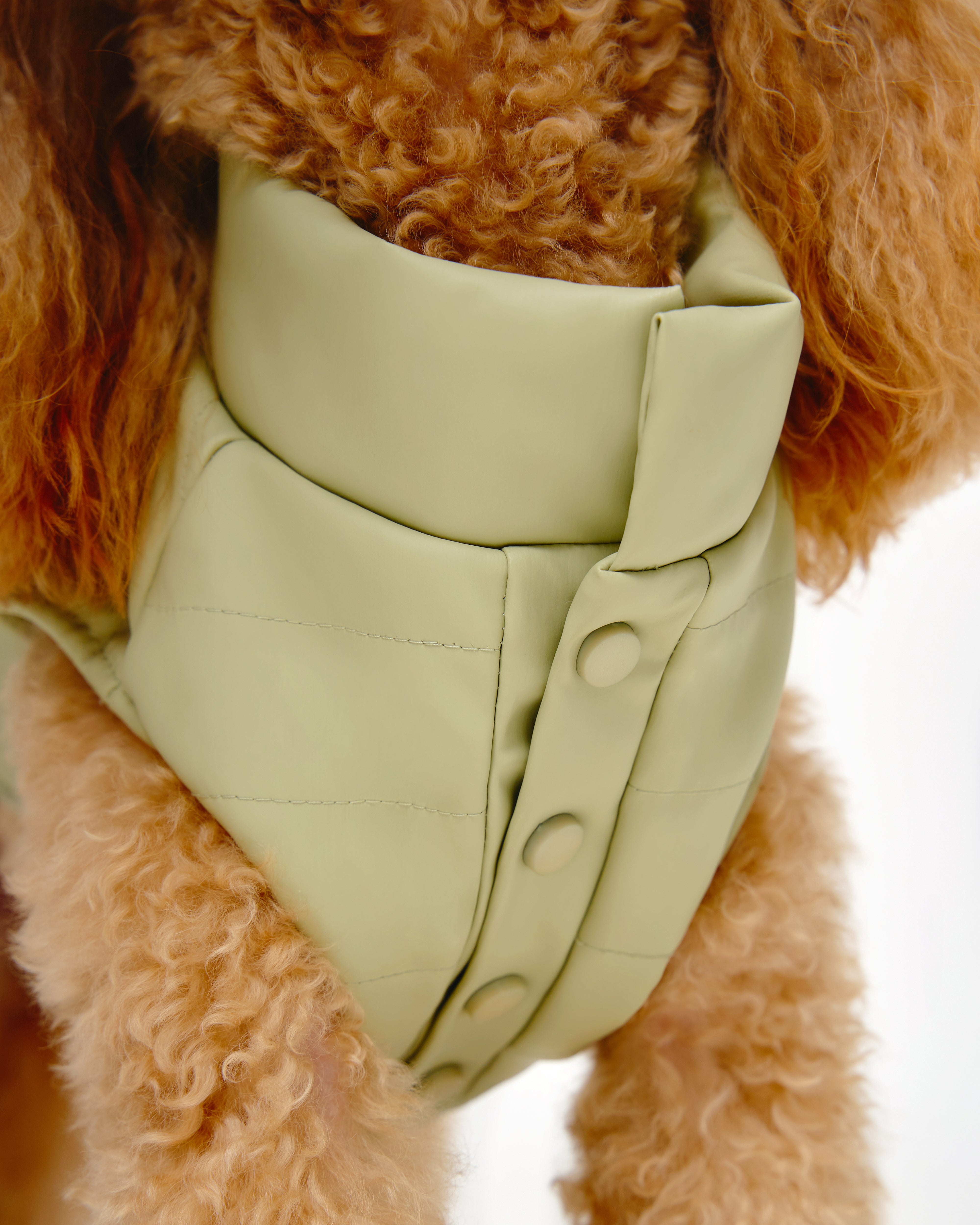 Puffer Dog Vest 