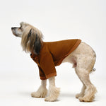 Dog Bomber Jacket 