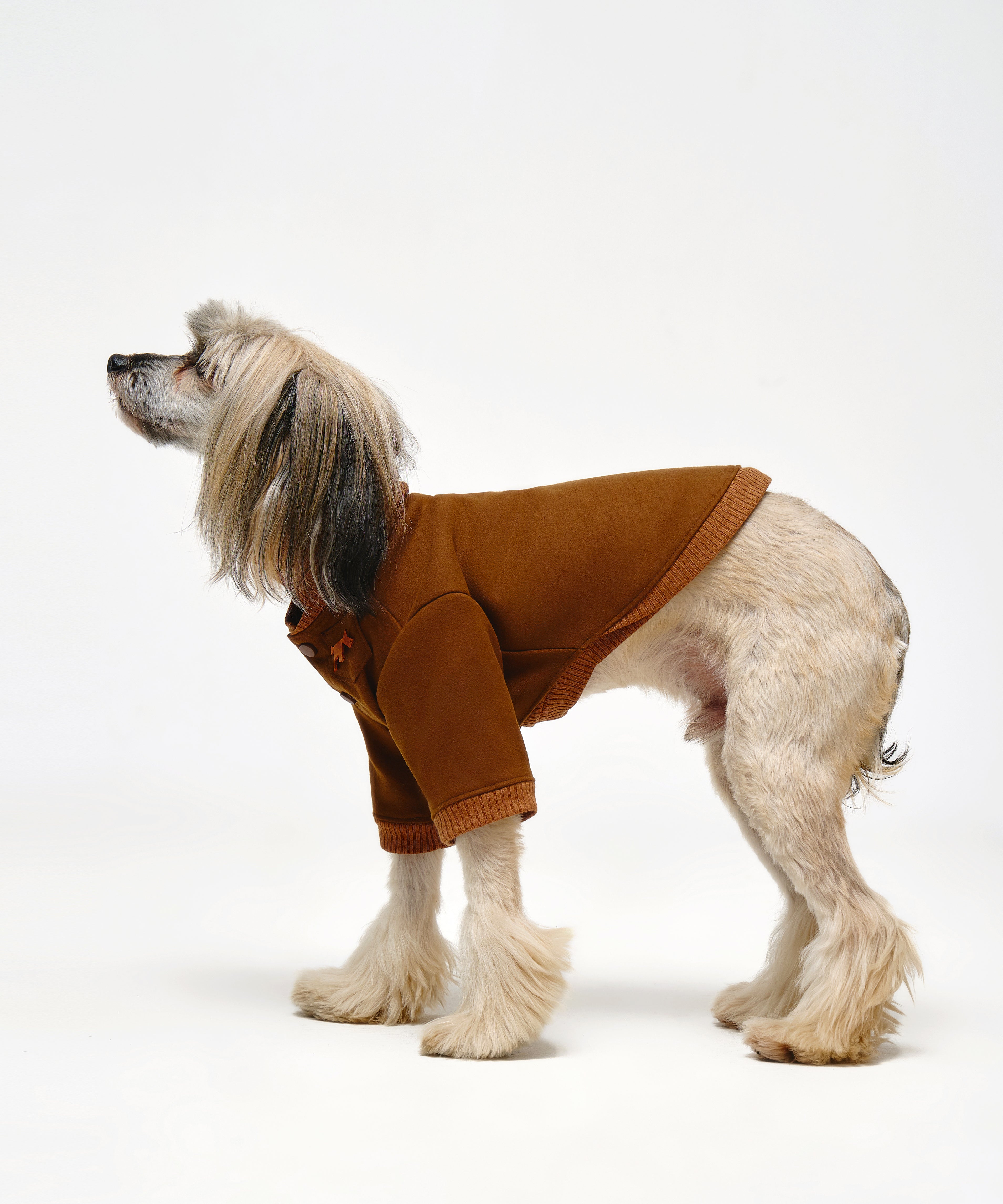 Dog Bomber Jacket 