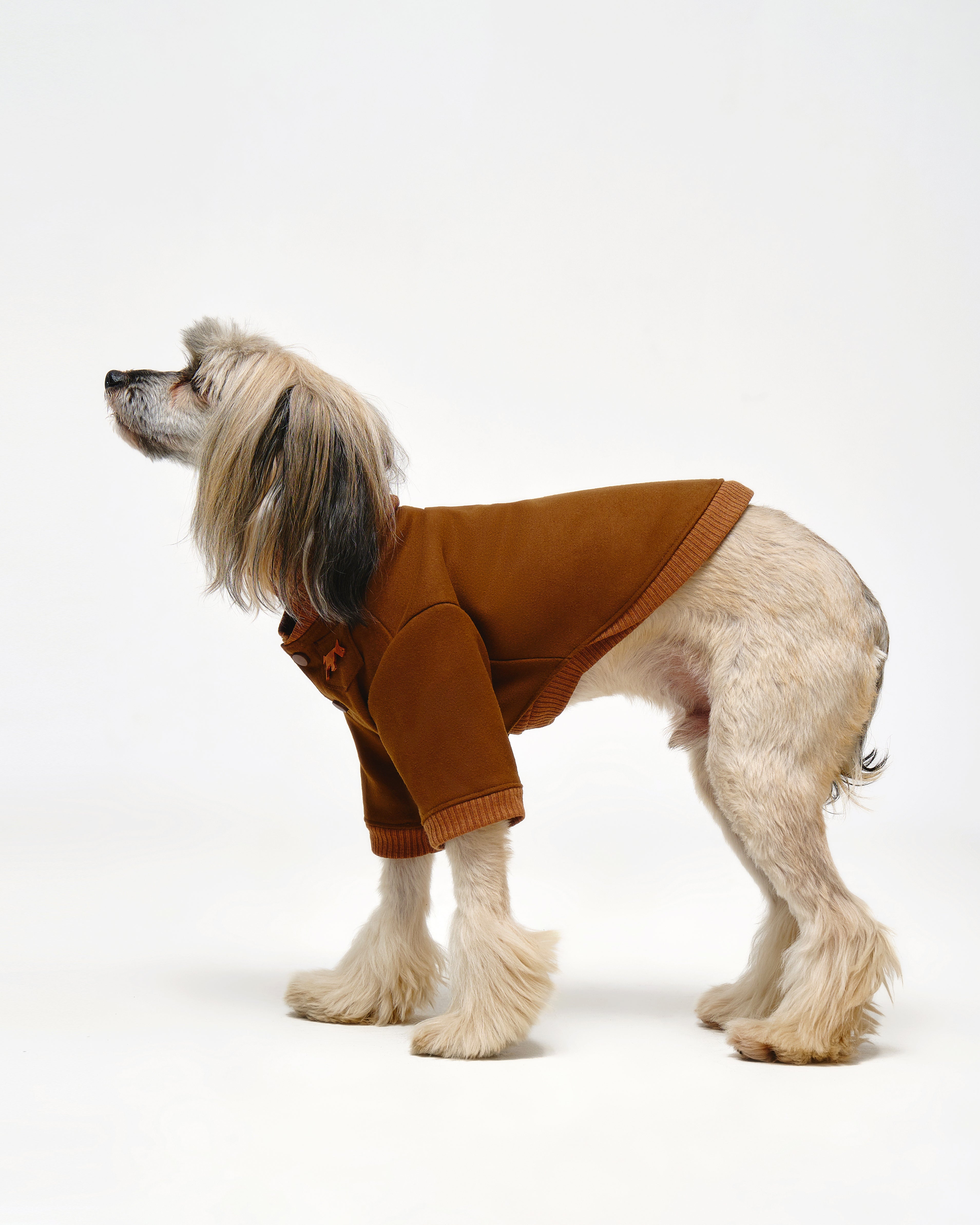 Dog Bomber Jacket 