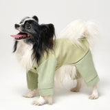 Full-Body Dog Suit