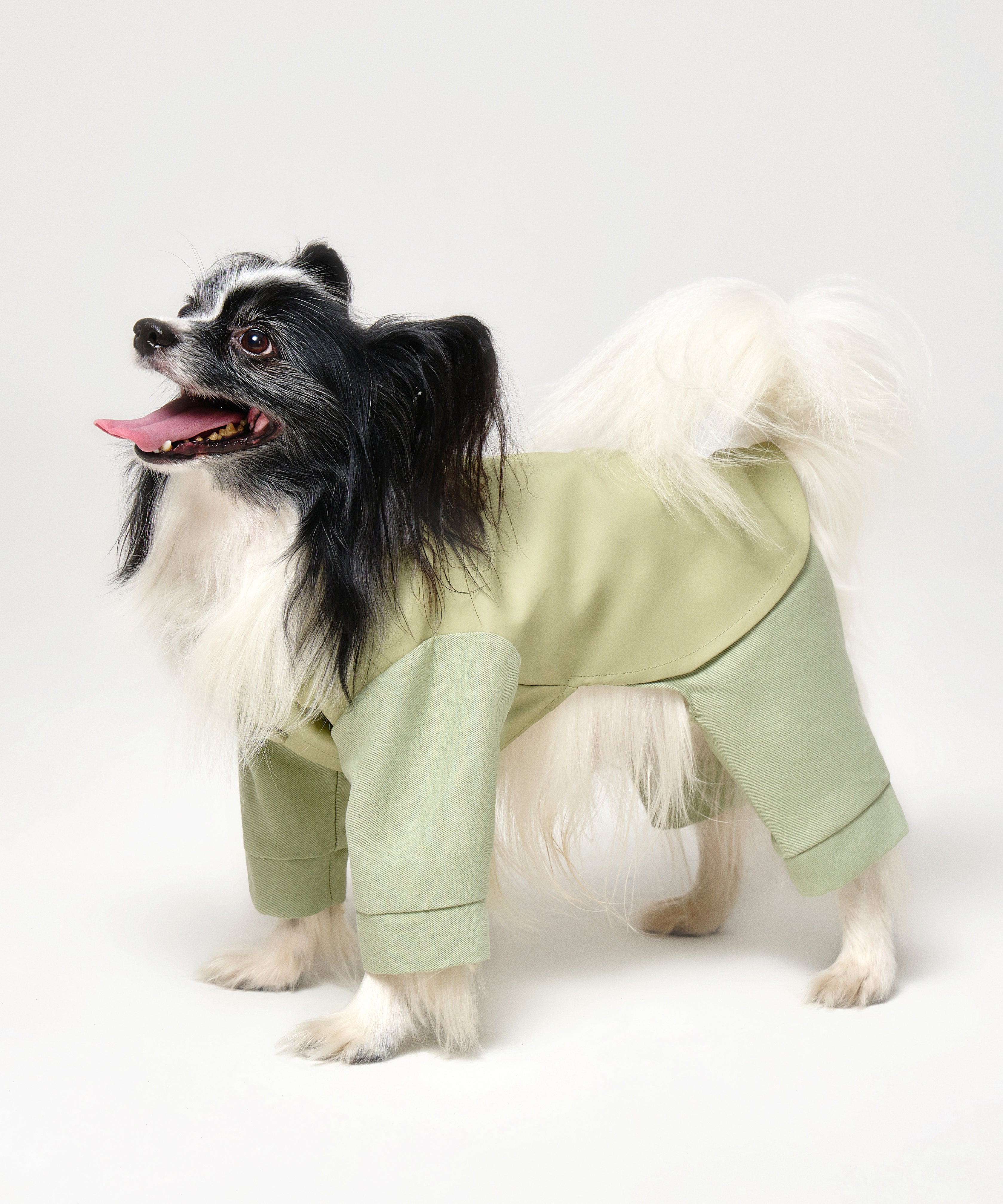 Full-Body Dog Suit