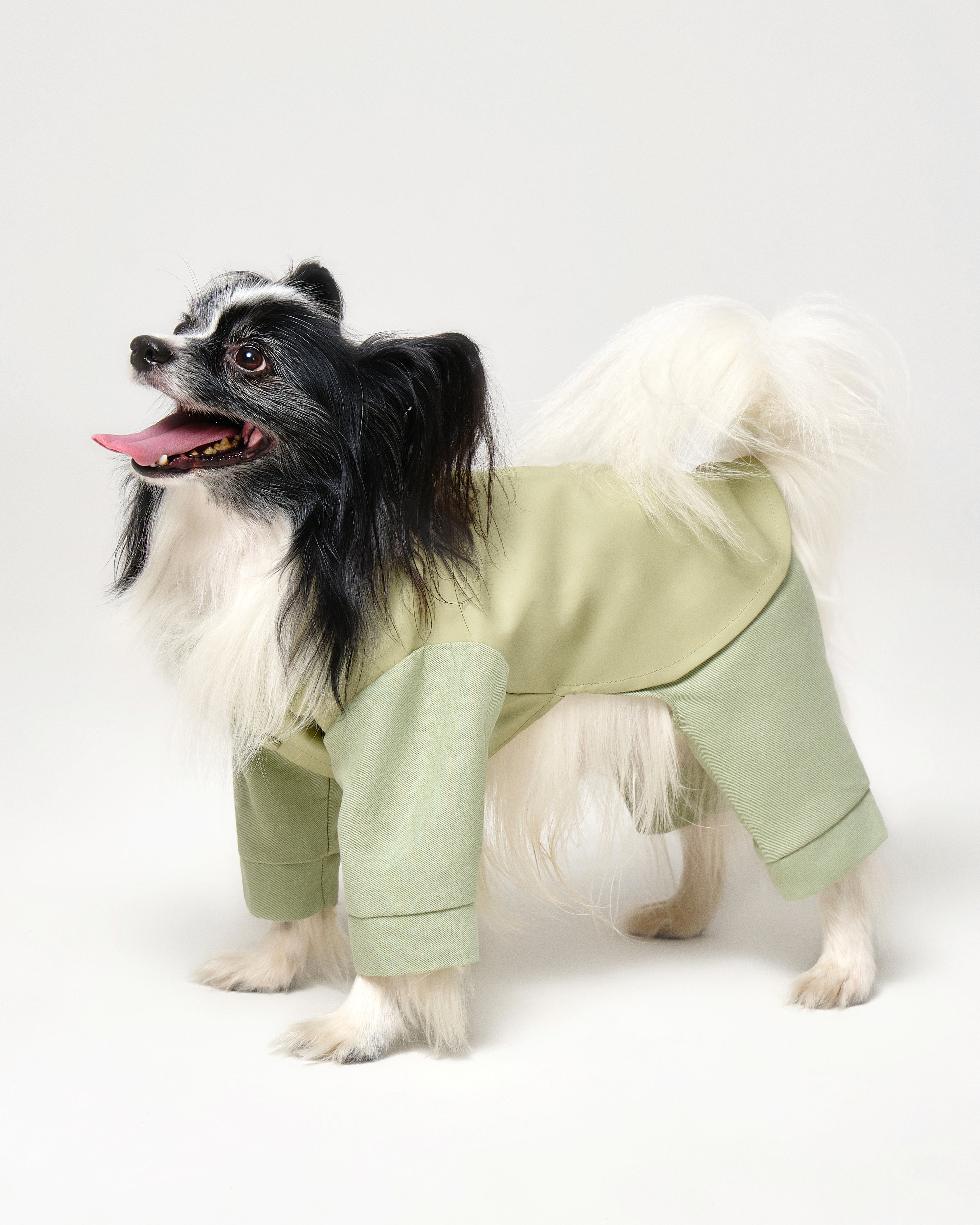 Full-Body Dog Suit