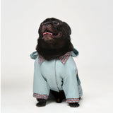 Sky Blue Dog Raincoat 