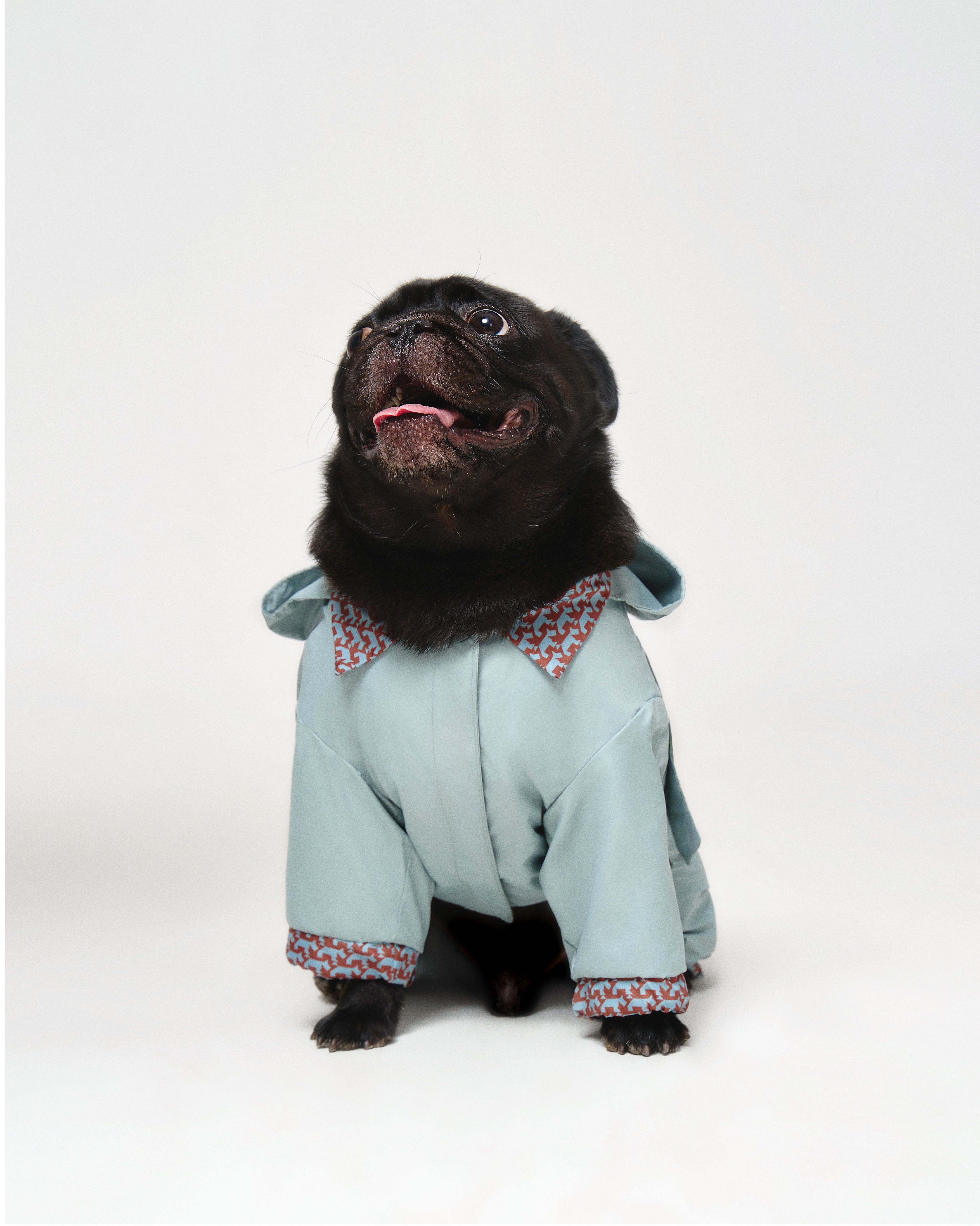 Sky Blue Dog Raincoat 