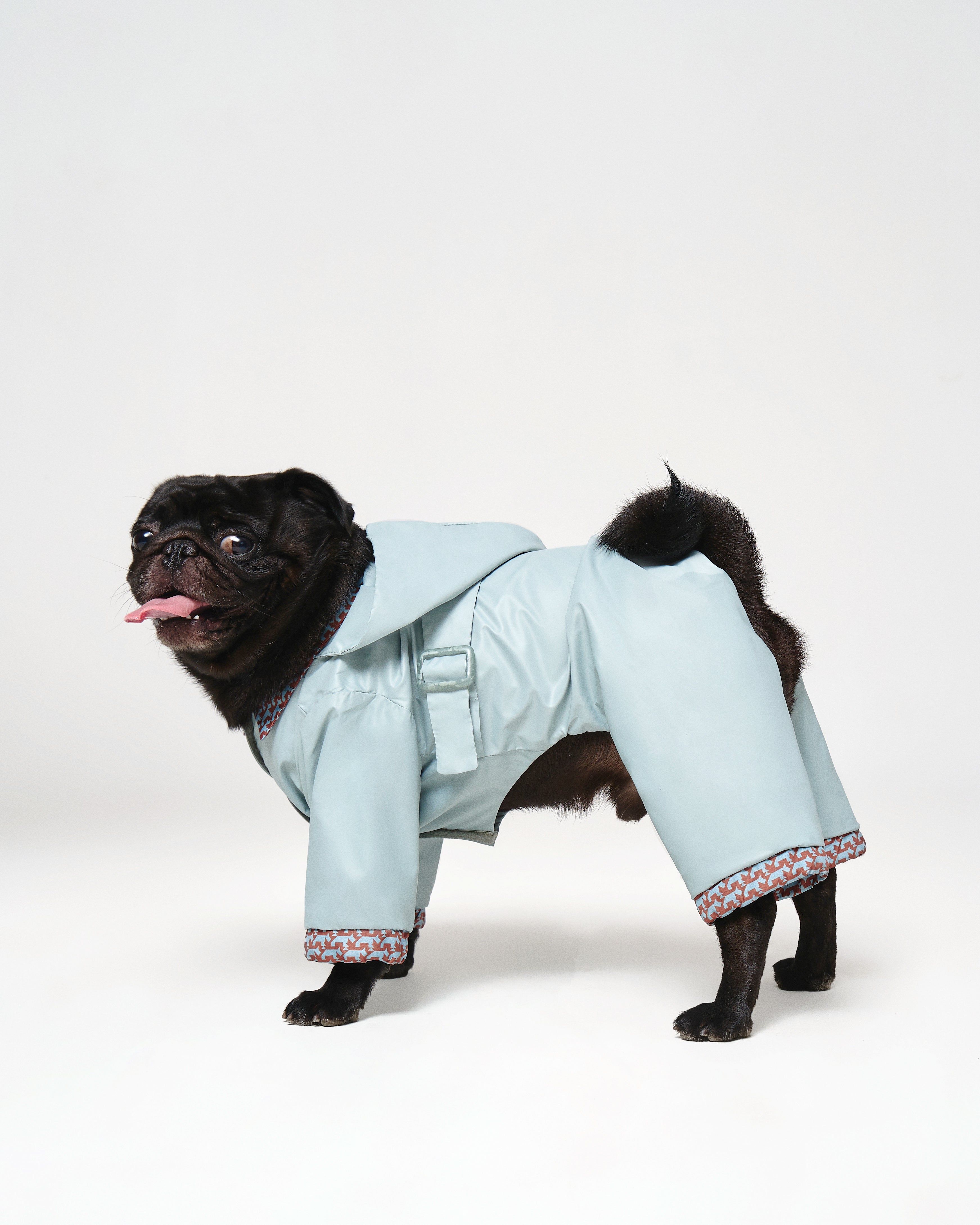 Sky Blue Dog Raincoat 