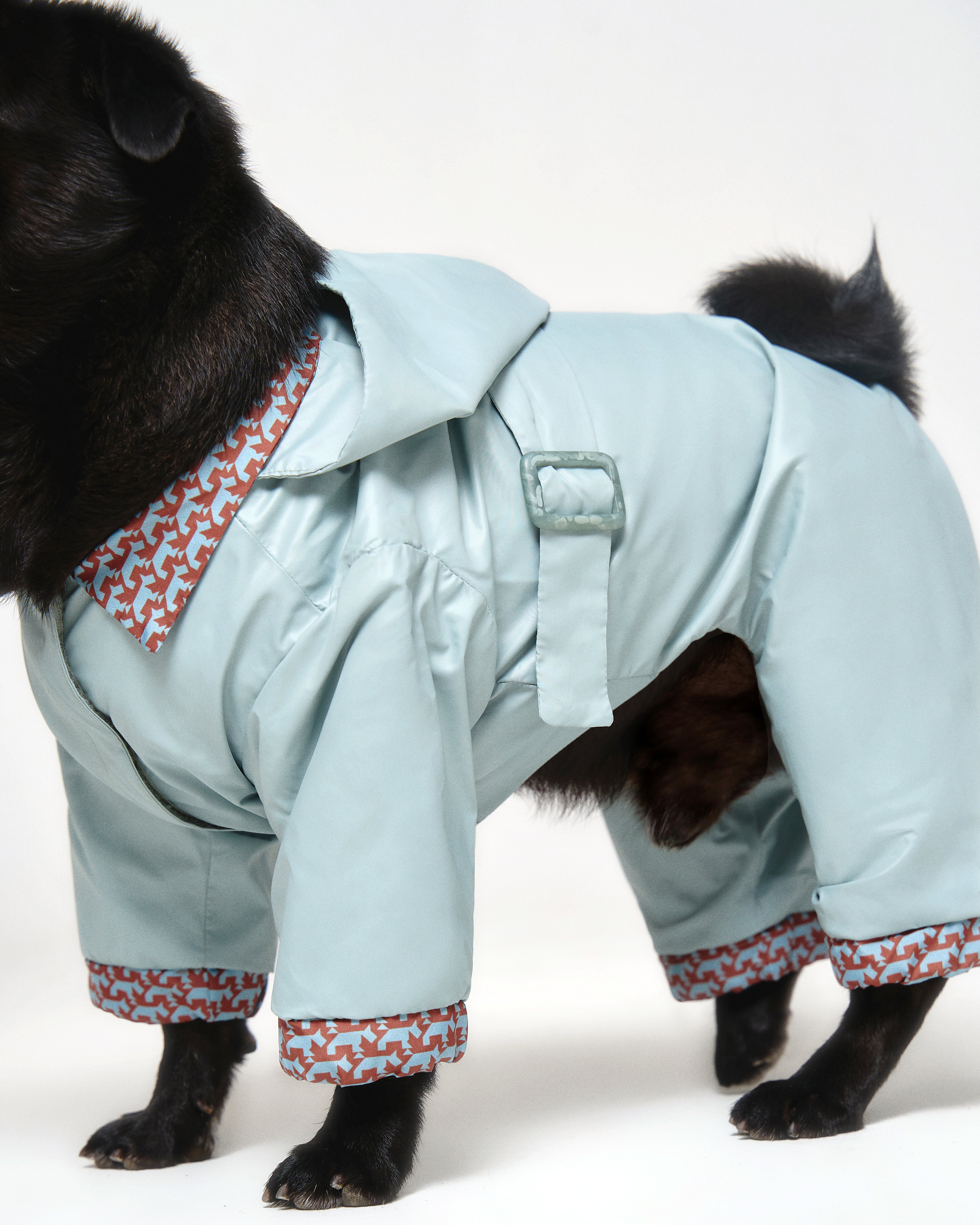 Sky Blue Dog Raincoat 