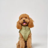 Puffer Dog Vest “PAWSome fashionista”